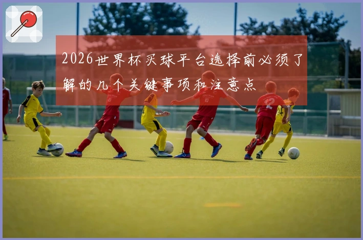 2026世界杯买球平台选择前必须了解的几个关键事项和注意点
