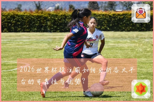 2026世界杯投注前如何分析各大平台的可靠性与优势？