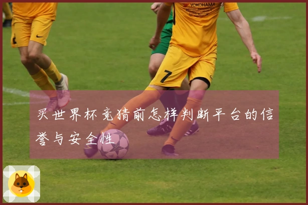 买世界杯竞猜前怎样判断平台的信誉与安全性