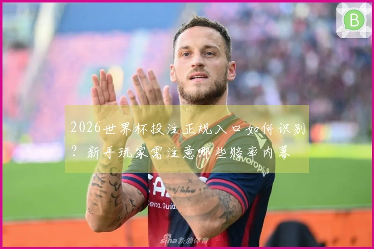2026世界杯投注正规入口如何识别?新手玩家需注意哪些赔率内幕