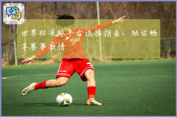 世界杯滚球平台选择指南，助你畅享赛事激情