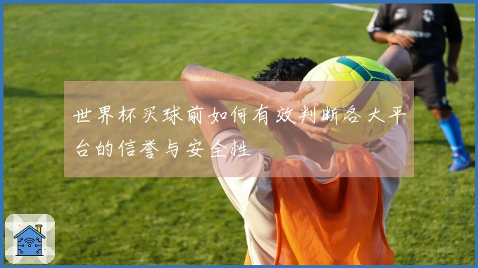 世界杯买球前如何有效判断各大平台的信誉与安全性